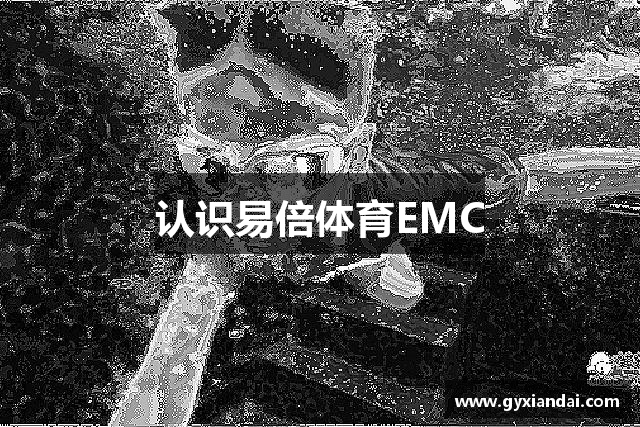 认识易倍体育EMC